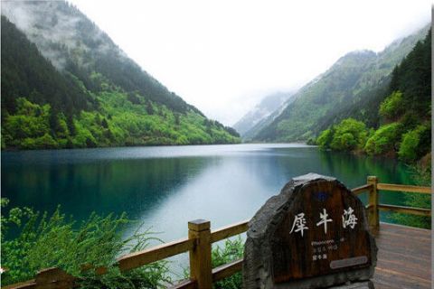 犀牛海